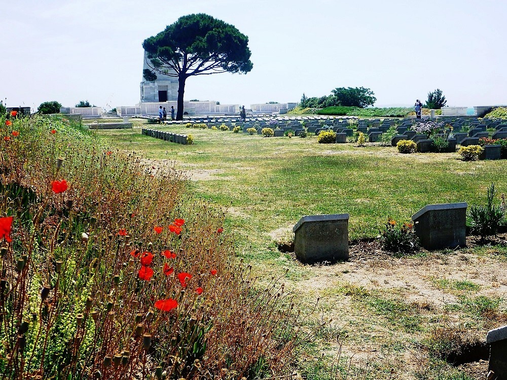 P1000774E.jpg