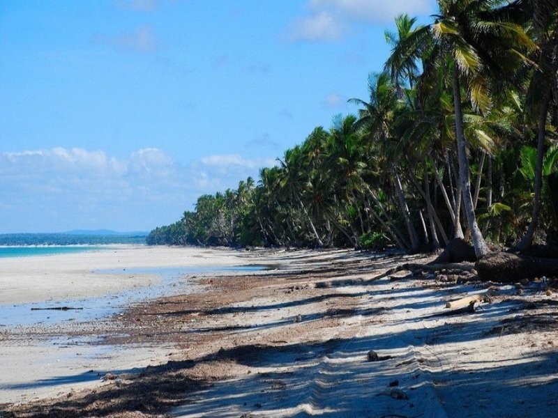 20100903190020  3.jpg